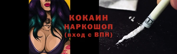 apvp Дмитриев