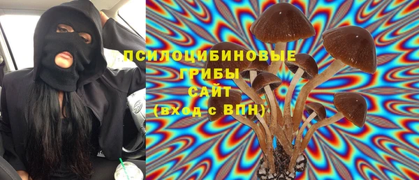 герыч Дмитров