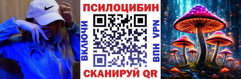 Галлюциногенные грибы Psilocybine cubensis блэк спрут ТОР Далматово наркотики